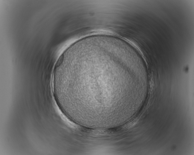 X0000112011391200908171432