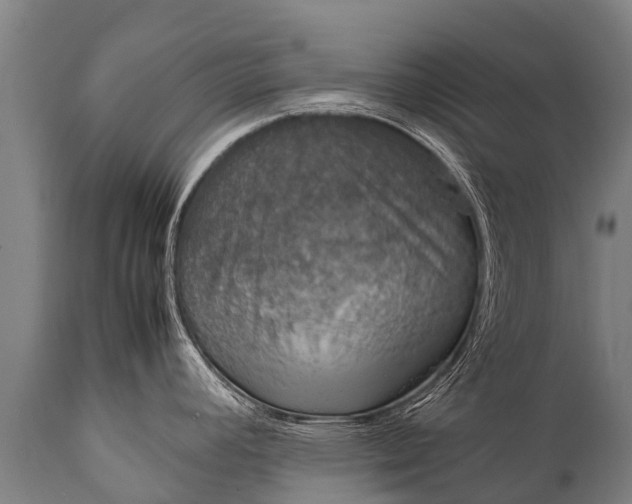 X0000112011392200908171432