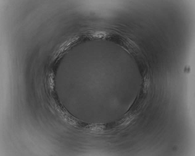 X0000112011394200908171432