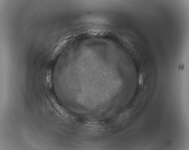 X0000112011396200908171432