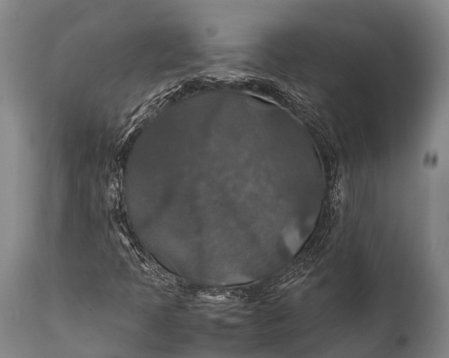 X0000112011397200908171432