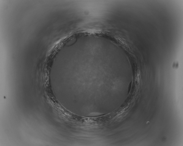 X0000112011398200908171432