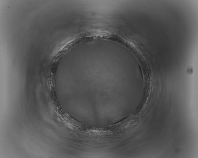 X0000112011399200908171432