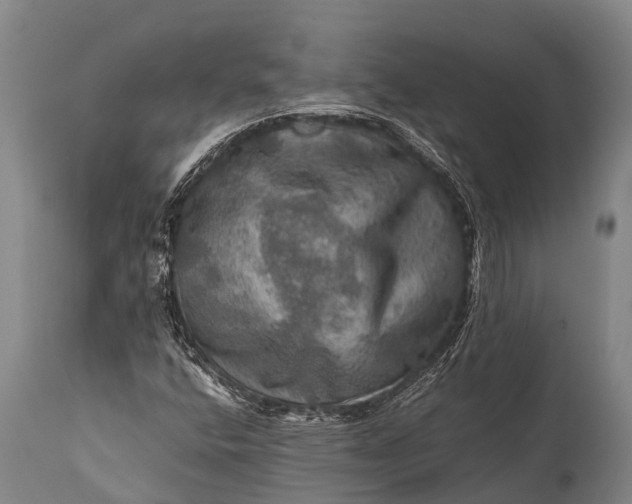 X0000112011400200908171432