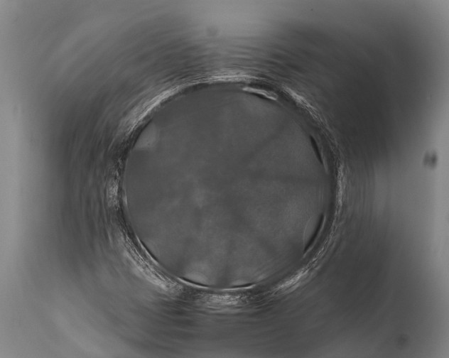 X0000112011401200908171432