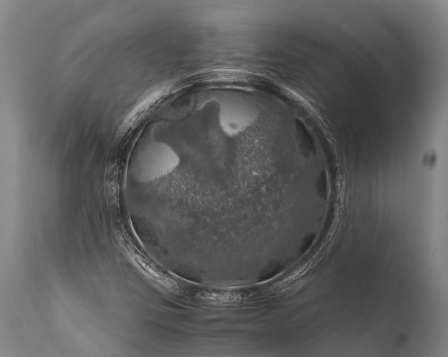 X0000112011403200908171432