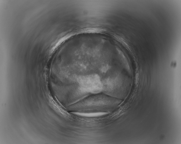 X0000112011404200908171432