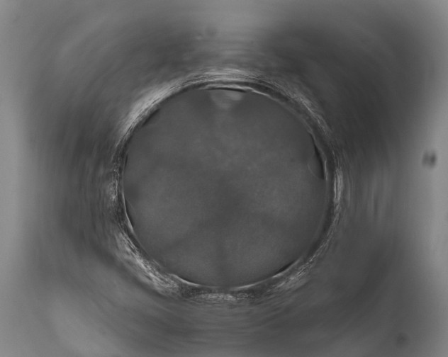 X0000112011405200908171432