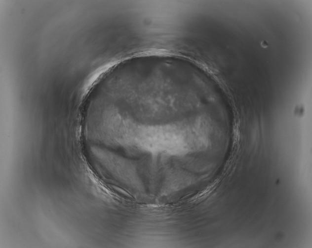 X0000112011406200908171432