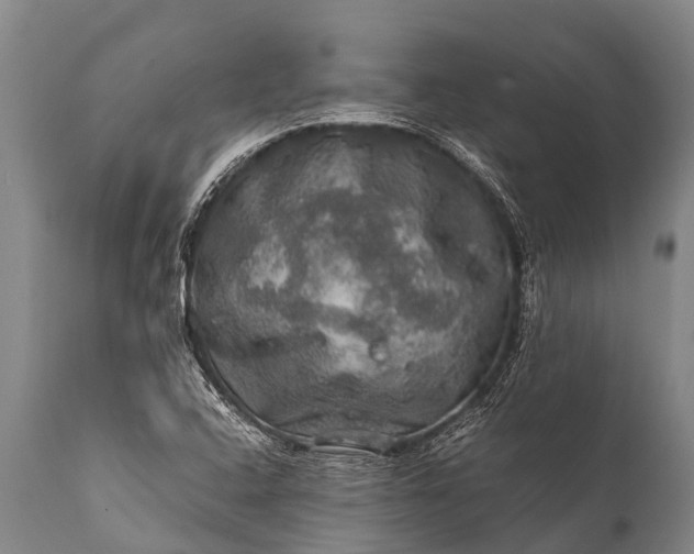 X0000112011408200908171432