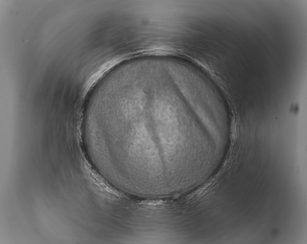 X0000112011410200908171432