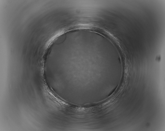 X0000112011411200908171432