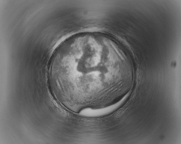 X0000112011412200908171432