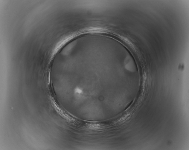 X0000112011413200908171432