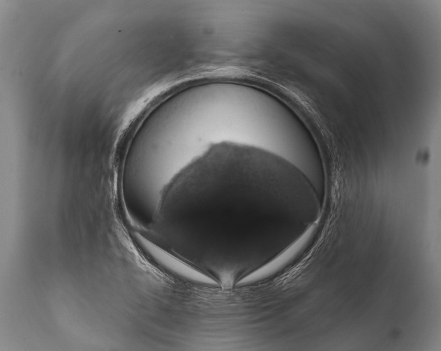 X0000112011414200908171432