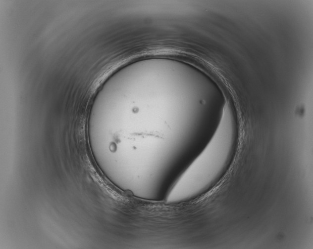 X0000112011417200908171432