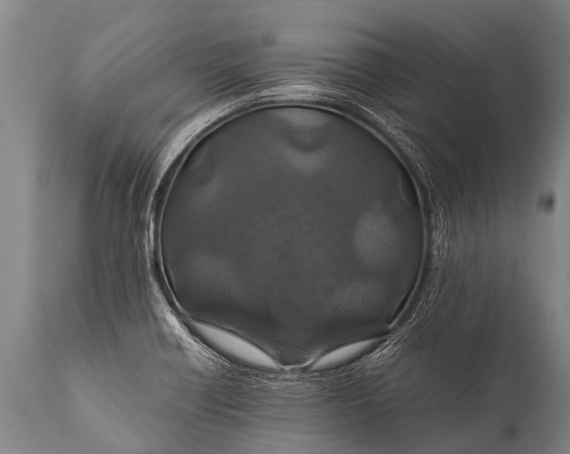 X0000112011418200908171432