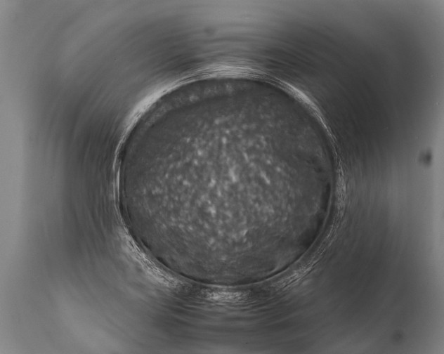 X0000112011419200908171432