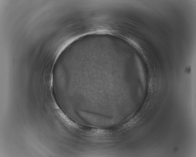 X0000112011420200908171432