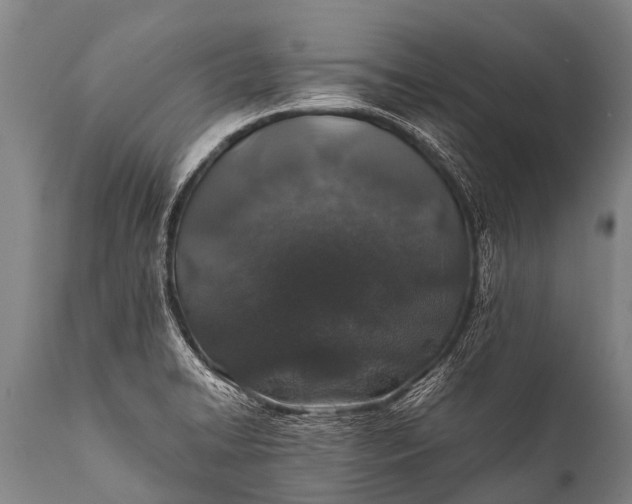 X0000112011422200908171432