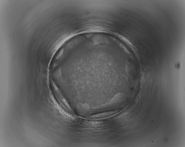 X0000112011423200908171432