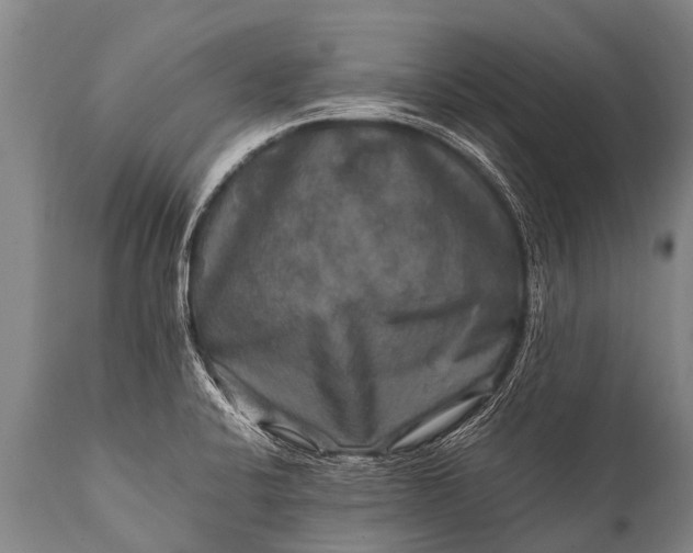 X0000112011424200908171432