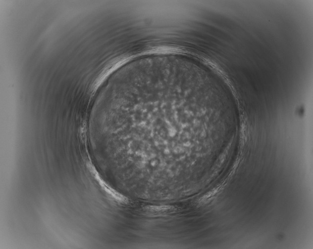 X0000112011425200908171432