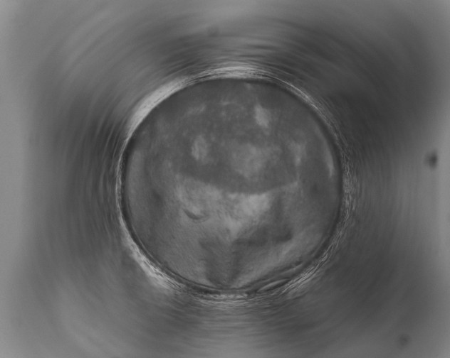 X0000112011426200908171432