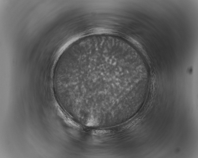 X0000112011427200908171432