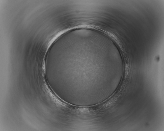 X0000112011428200908171432