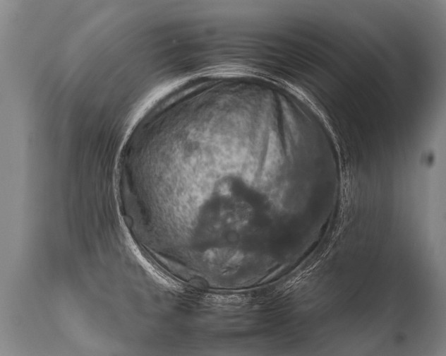 X0000112011429200908171432