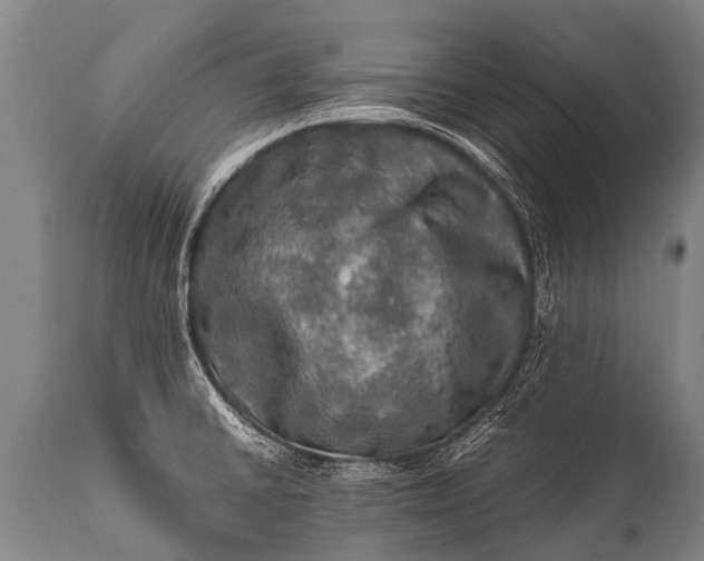 X0000112011430200908171432