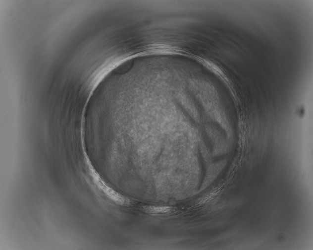 X0000112011431200908171432