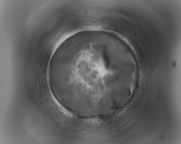 X0000112011432200908171432