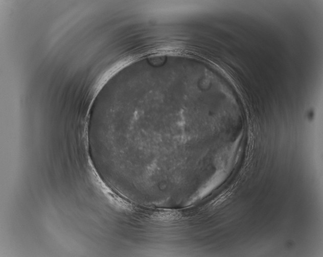 X0000112011434200908171432