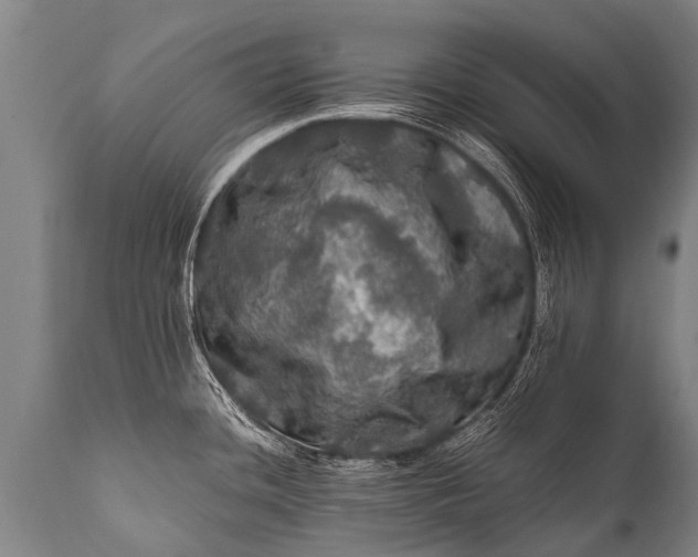 X0000112011436200908171432