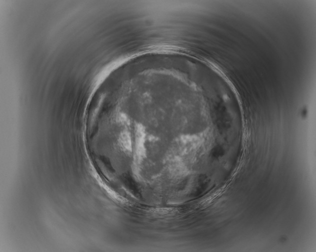 X0000112011437200908171432