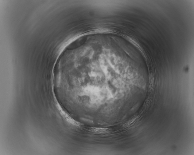 X0000112011439200908171432