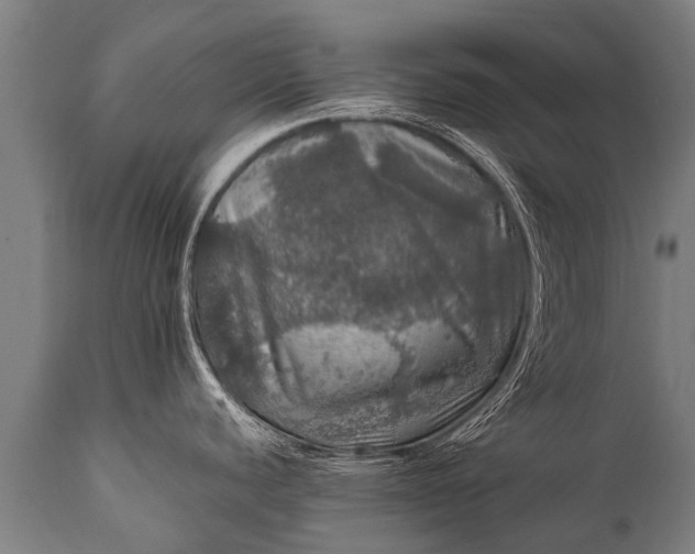 X0000112011440200908171432