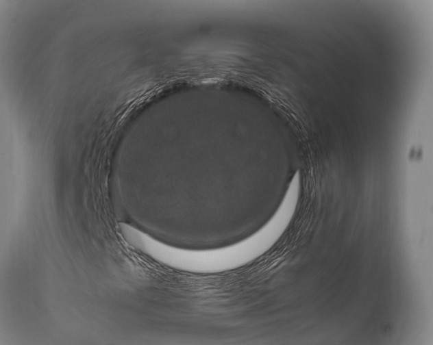 X0000112011441200908171431