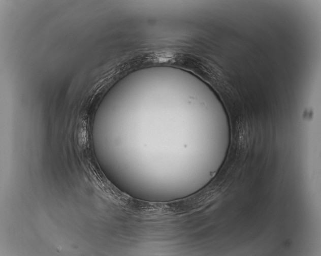 X0000112011442200908171431