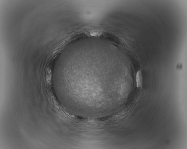 X0000112011443200908171431