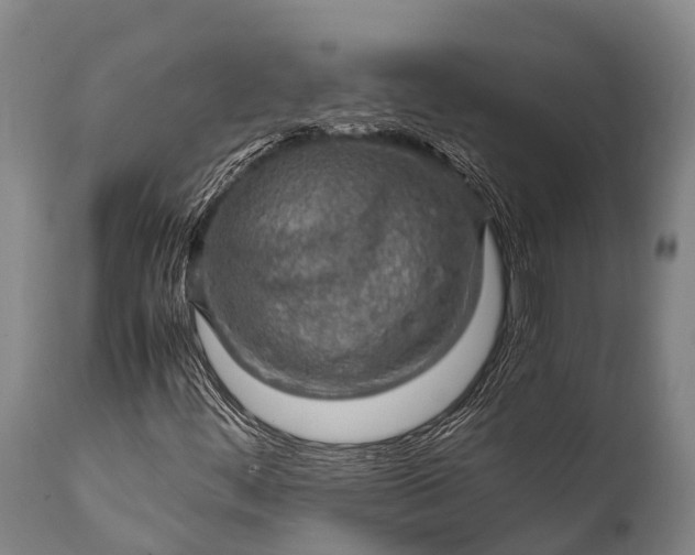 X0000112011444200908171431