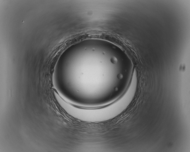 X0000112011445200908171431