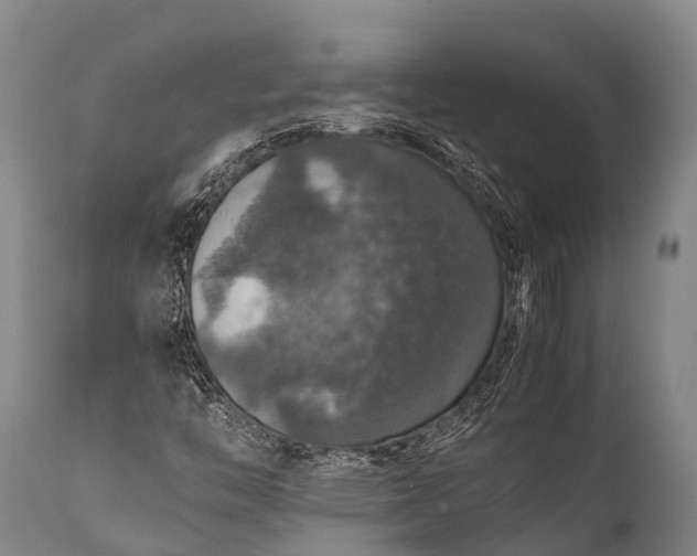 X0000112011446200908171431