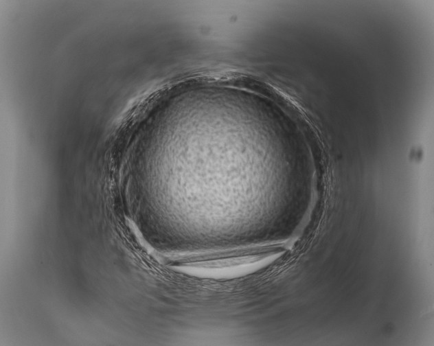 X0000112011447200908171431