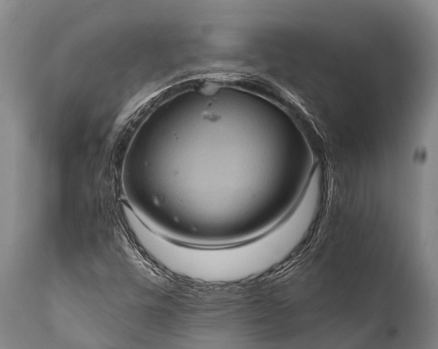 X0000112011448200908171431