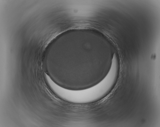 X0000112011449200908171431