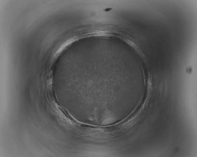 X0000112011450200908171431