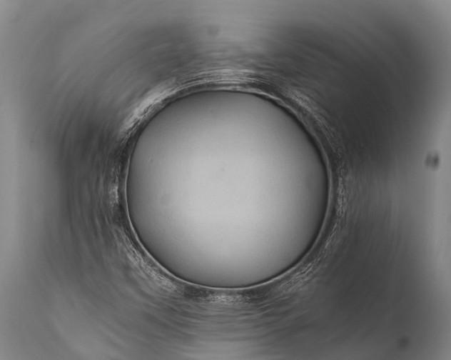 X0000112011451200908171431